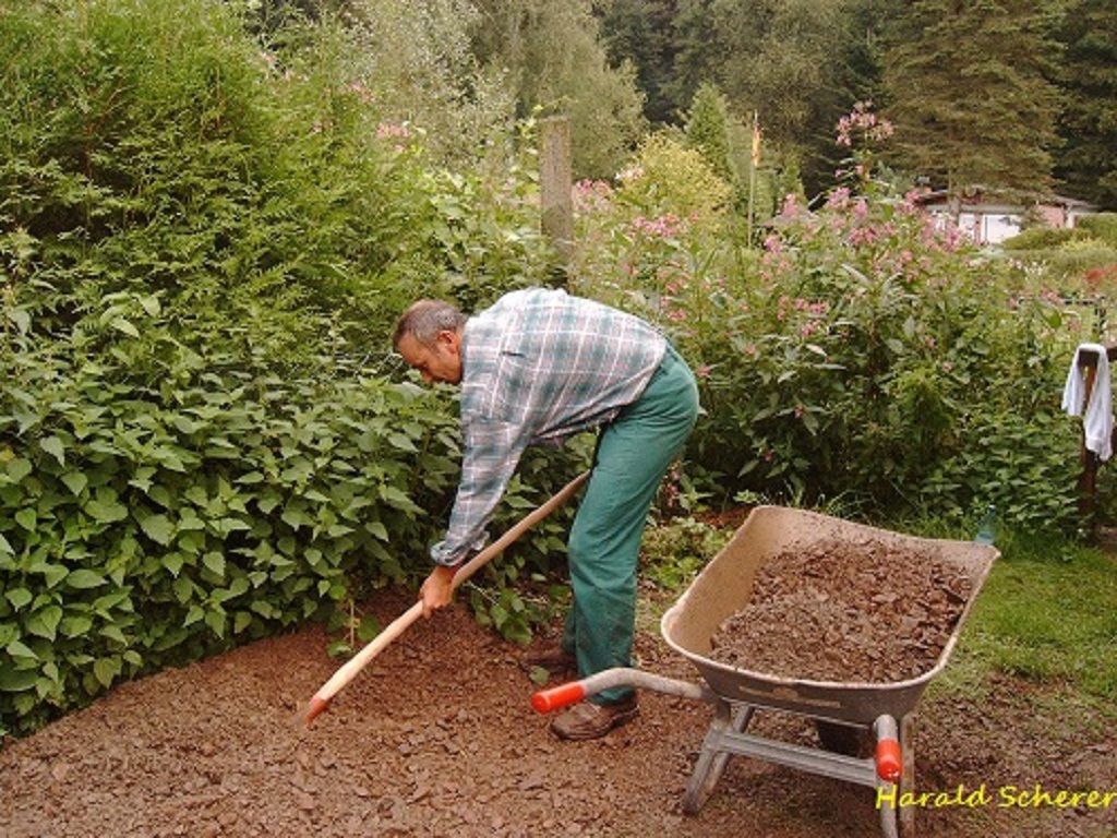 DHW0154.jpg